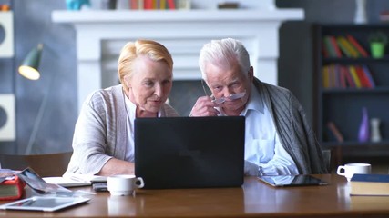 Senior couple websurfing on internet with laptop. Happy elderly man and woman using computer