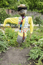Well Dressed Cheerful Scarecrow With Yellow Shirt And Waistcoat