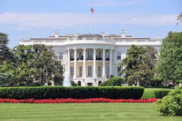 Wall Mural - White House in Washington DC