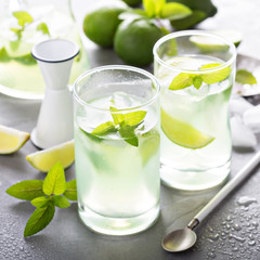 Wall Mural - Refreshing cold cocktail with mint and limes