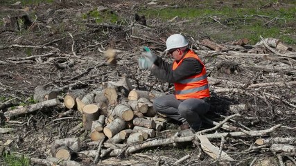 Wall Mural - Lumberjack working in forest
