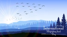 Birds Migratory Day With Mountains And Palm Tree On Sunrise Background