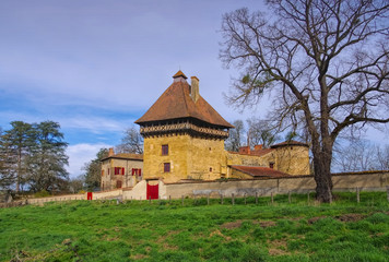 Poster - Saint-Pierre-la-Noaille Chateau