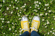 © creativefamily - Yellow sneakers in a dasiy field. First person view