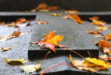 The Autumn Trees, The Old Grave In The Cemetery Of Pere-Lachaise.