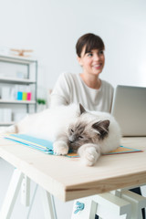 Wall Mural - Cat lying down on a desktop