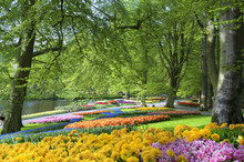  Parc Florale De Keukenhof Pays Bas