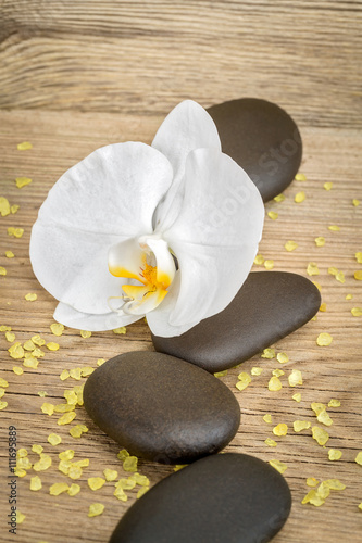Naklejka - mata magnetyczna na lodówkę Kwiaty orchidei