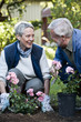 © Johnér - An old couple in the garden, Sweden.