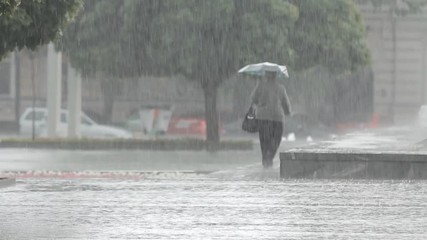 Heavy rain, a downpour in the city park