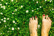 Feet in the green grass.