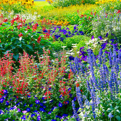 Wall Mural - Blossoming flowerbeds in the park