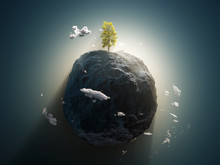 Lonely Tree On The Stone Planet