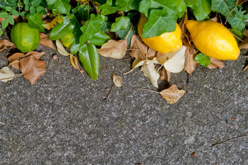 Wall Mural - Raw textured grey stone Background backdrop with lemon and lime