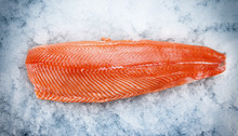 Salmon Fillet On Ice