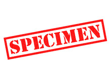 Specimen - Brain Free Stock Photo - Public Domain Pictures