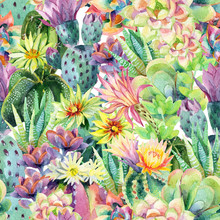 Watercolor Blooming Cactus Background