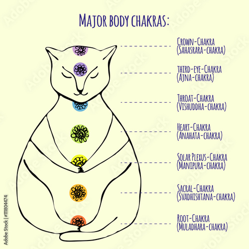 Cat Chakra Chart