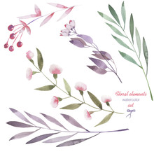 A Floral Set With The Isolated Watercolor Branches, Flowers And Berries, Hand Drawn On A White Background, For Self-compilation Of The Bouquets And Ornaments