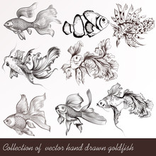Vector Set Of Filigree Drawn Goldfish In Vintage Style