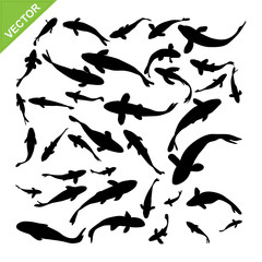 Wall Mural - Top view of fish silhouettes vector