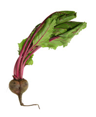 Poster - Beetroot