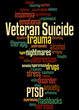 © kalpis - Veteran Suicide, word cloud concept 3