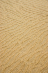  Sand on the beach.