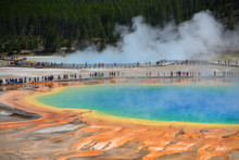 The World Famous Grand Prismatic Spring In Yellowstone National Park