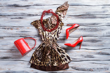 Leopard Dress And Bead Necklace. Bright Red Heel Shoes. Lady's Glossy Purse On Display. Exclusive Clothes And Accessories.