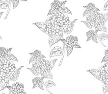 Seamless Pattern Black And White Hydrangea Flowers