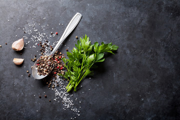 Poster - Garlic, pepper and salt spices, parsley herb