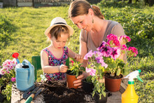 Mother And Daughter Planting Flowers