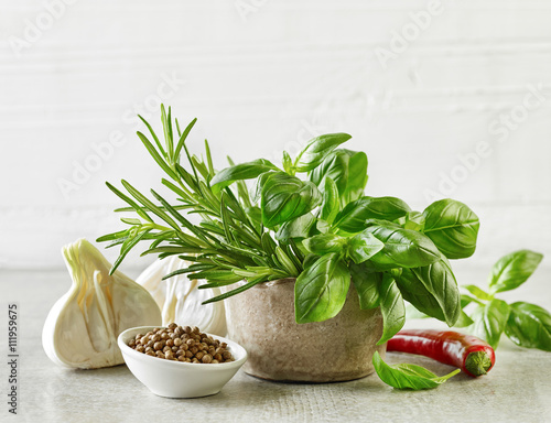 Fototapeta do kuchni fresh herbs and spices