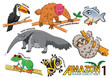 © akarakingdoms - Set of Cute cartoon Animals and birds in the Amazon areas of Sou
