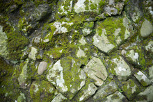 Wild Stone Wall With Green Moss