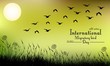 Field of grass and flying birds on night background
