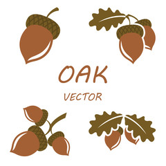 Wall Mural - vector flat oak icons set