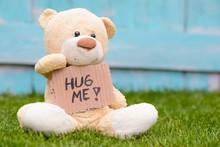 Teddy Bear Holding Cardboard With Information Hug Me