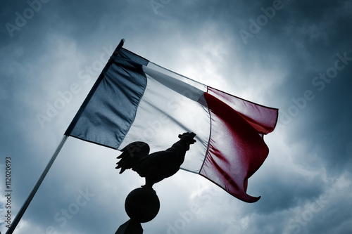 Fotomural drapeau français france tricolor coq symbole emblême républiq