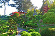 San Francisco: il Japanese Tea Garden il 16 giugno 2010. Creato nel 1894 all'interno del Golden Gate Park, è il più antico giardino pubblico giapponese negli Stati Uniti