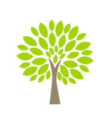 Wall Mural - tree icon vector