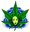 Hot girl with marijuana leafs