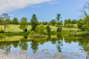 Wall Mural - beautiful lake landscape in Sweden