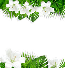 Frame Branch Tropical Leaves And White Flowers Lily