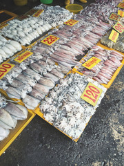 Canvas Print - Fresh squid in market