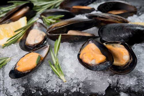 Fresh crude seafood. Mussels in a cockleshell Plakat