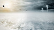 Bird flying on fantasy opposite weather sky, beautiful sun and ominous stormy sky clouds, infinity conception for composite