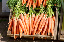 Bunches Of Carrots In Vegetable Display Outside Green-grocers Shop