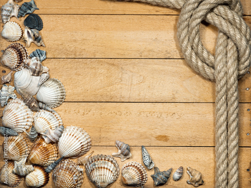 Fotografia, Obraz Rope and Seashells on Wooden Background